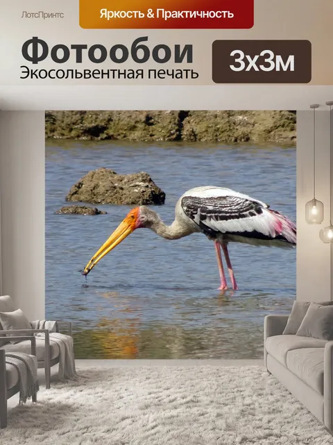 Фотообои Птица