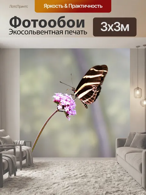 Фотообои Бабочка