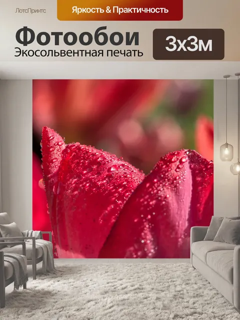 Фотообои Тюльпаны