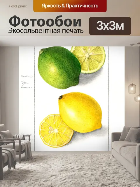 Фотообои Фруктовое винтажное искусство