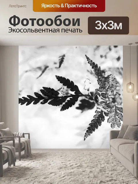 Фотообои акцентировал листья папоротника