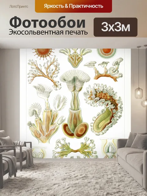 Фотообои Коралловый риф медузы винтажное искусств