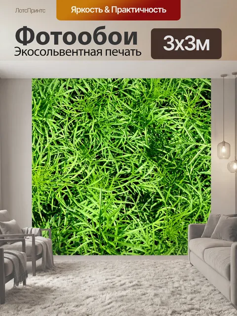 Фотообои История зеленой флоры