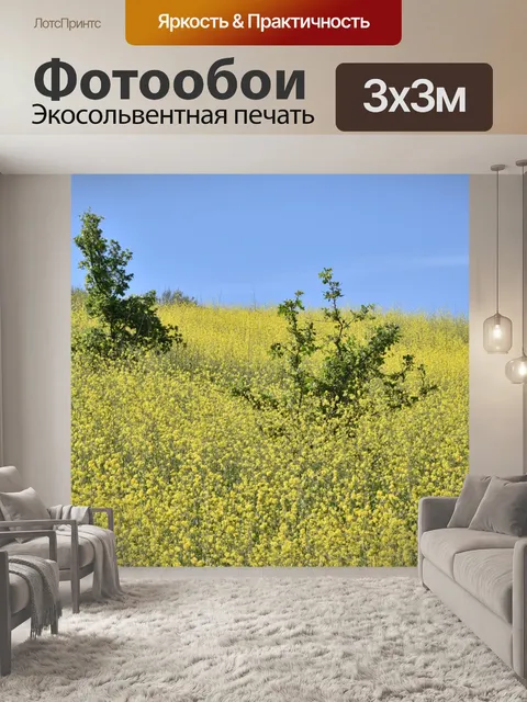 Фотообои Горчица Луг