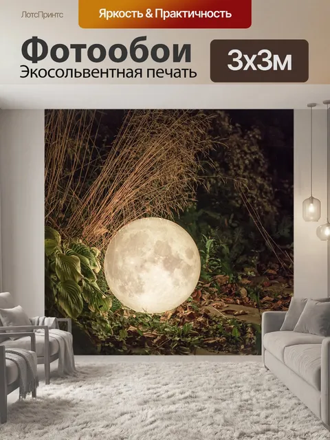 Фотообои Луна