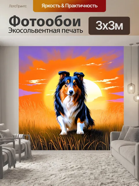 Фотообои колли, играющий в высоких травах на фоне заката, с яркими фиолетовыми и оранжевыми оттенками небес