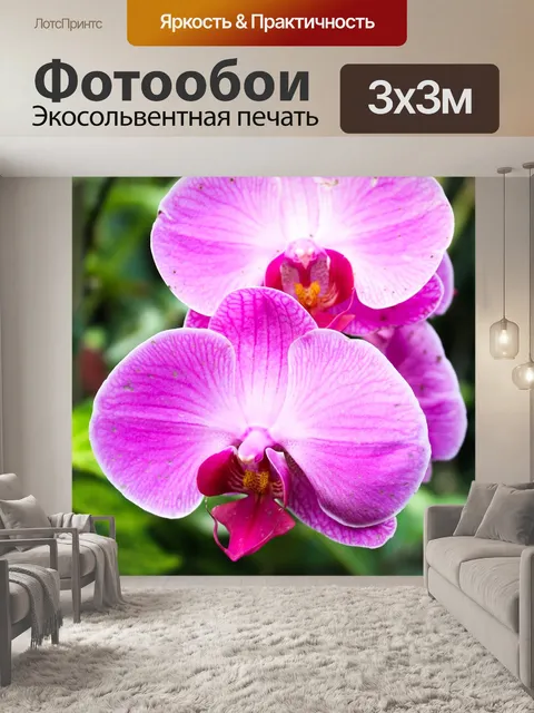 Фотообои Цветы