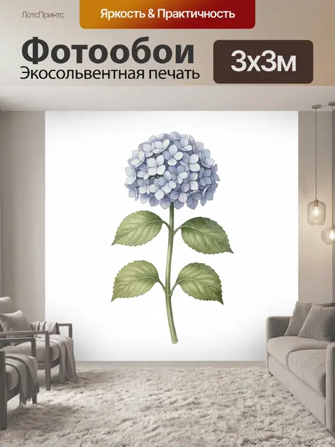 Фотообои Голубая гортензия на белом фоне