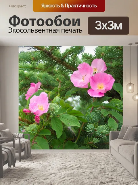 Фотообои Розы