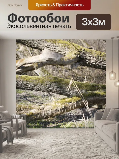 Фотообои Дерево
