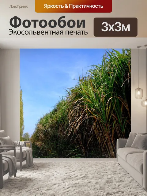 Фотообои Деревья
