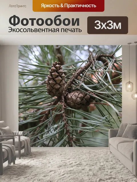 Фотообои Сосна