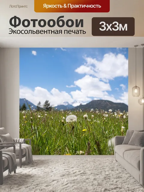 Фотообои Одуванчики