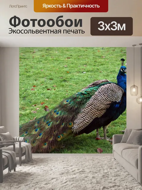 Фотообои Птица