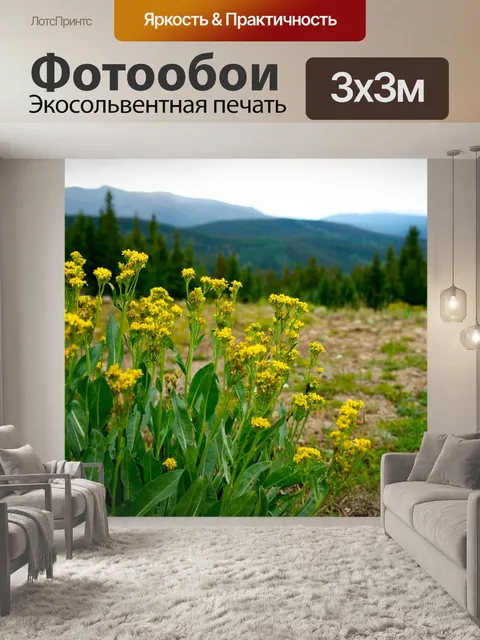 Фотообои Желтые сорняки в горах