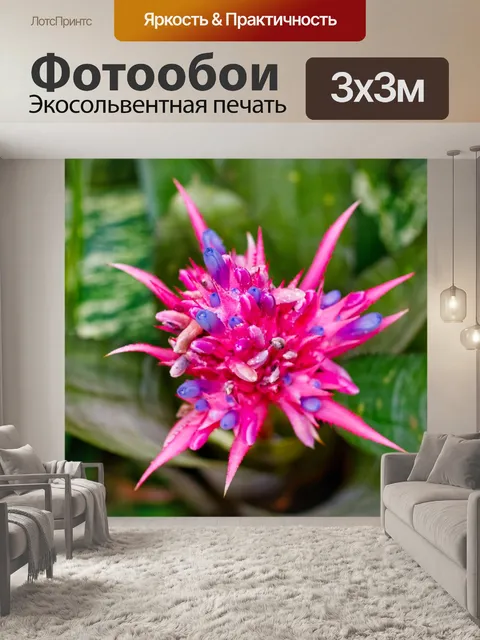 Фотообои Цветок