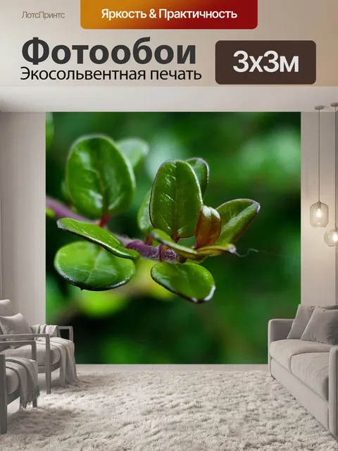 Фотообои Природа