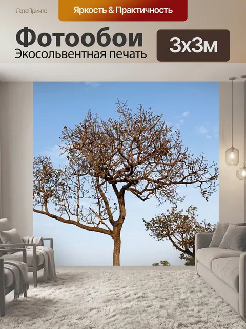 Фотообои Силуэт дерева в природе