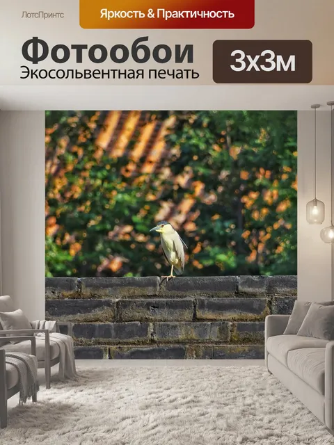 Фотообои Стена