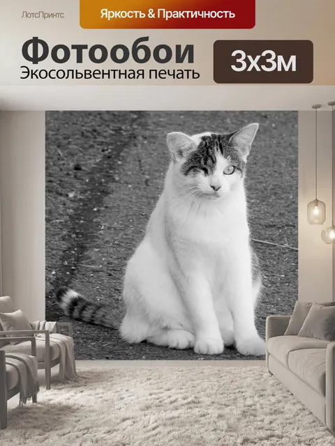Фотообои Кот