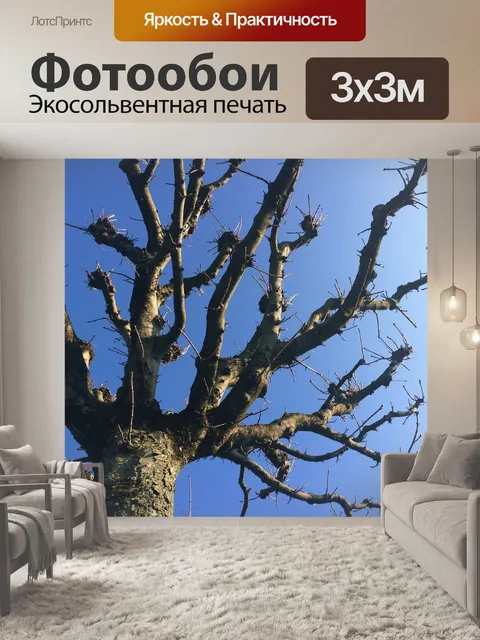 Фотообои Дерево