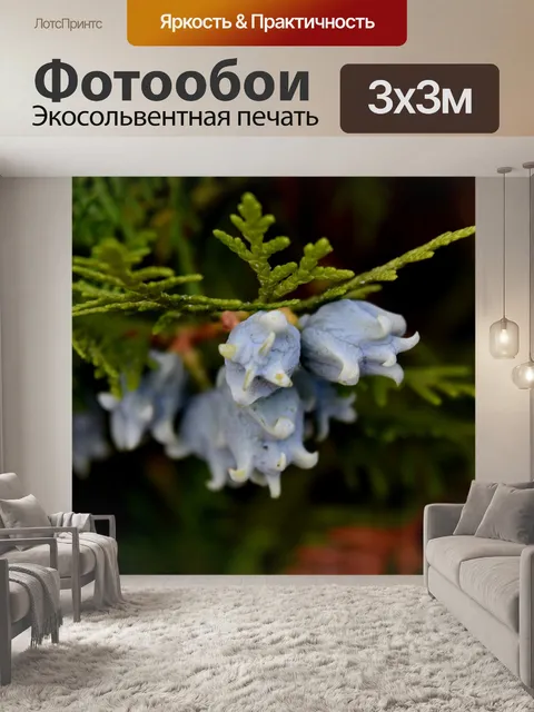 Фотообои Дерево