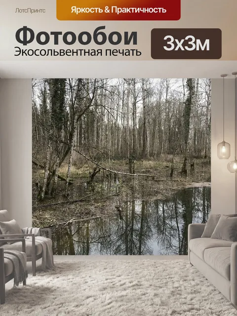 Фотообои Болото