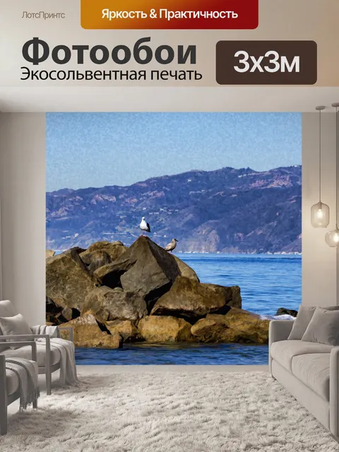 Фотообои Seagulls