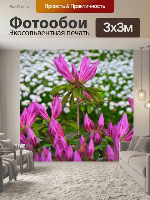 Фотообои Цветы