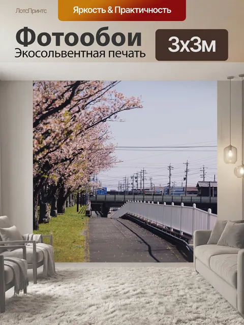 Фотообои Сакура