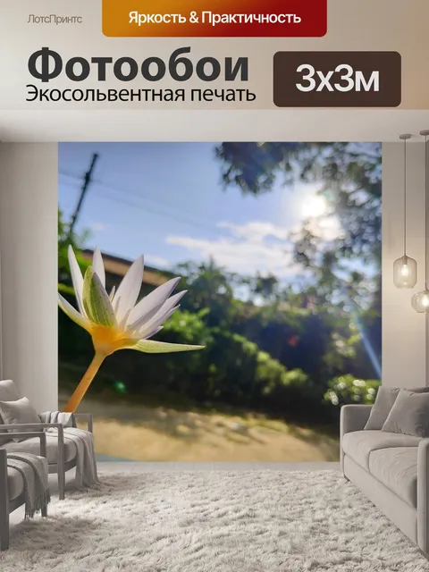 Фотообои Цветок