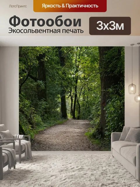 Фотообои Лес