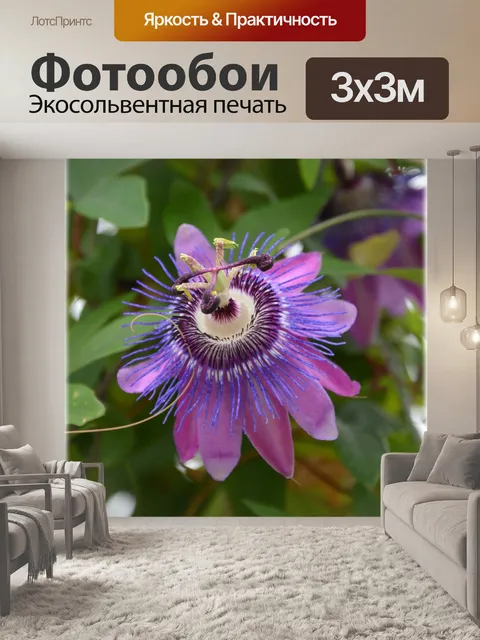 Фотообои Голландские цветы в садах 72