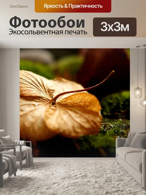 Фотообои Природа