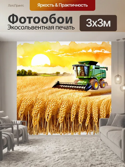 Фотообои сцена с комбайном в действии, собирающим пшеницу на фоне западающего солнца и ярких раскрасок неба