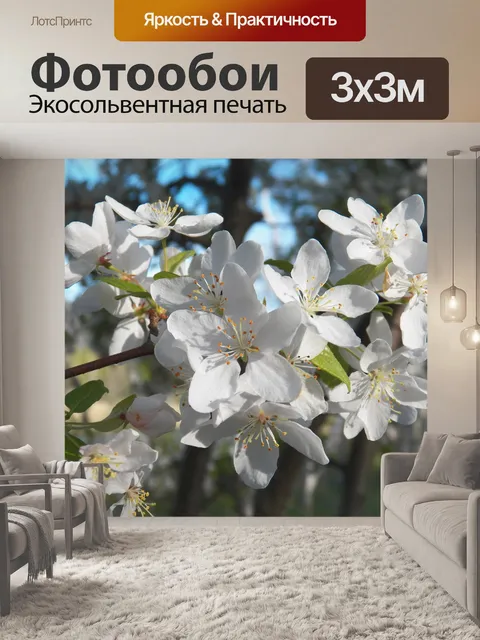 Фотообои Blossom время