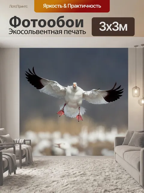 Фотообои Снежный гусь