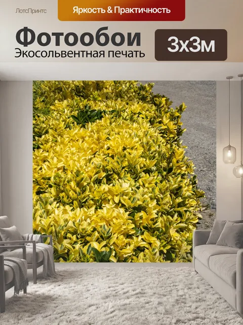 Фотообои золотые кусты