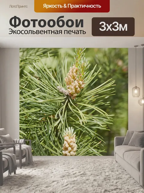 Фотообои Лес