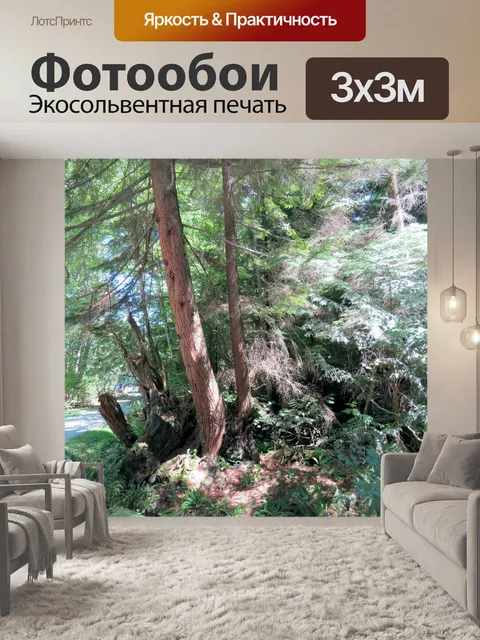 Фотообои Belcarra Park 2