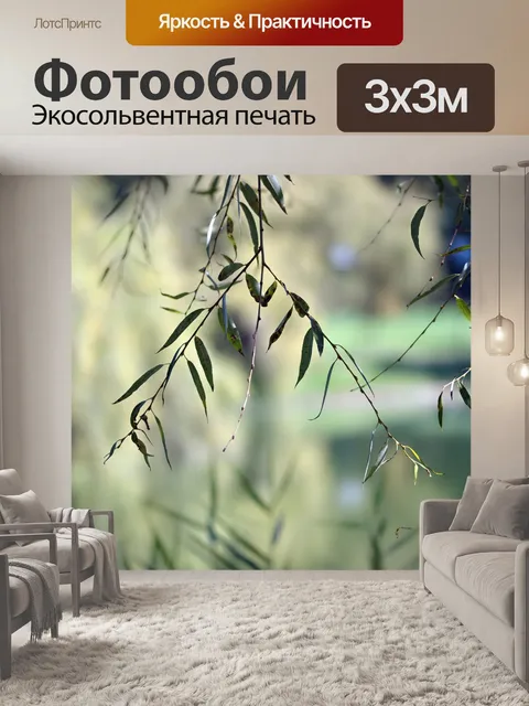 Фотообои Веточки