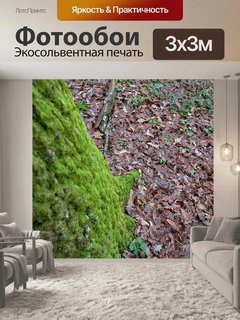 Фотообои Листья