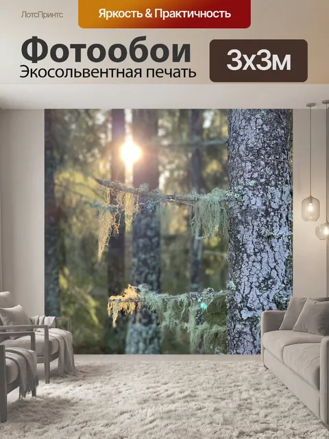 Фотообои Лес