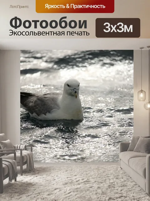 Фотообои Птица