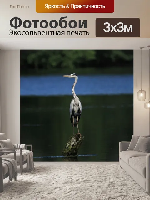 Фотообои Цапля