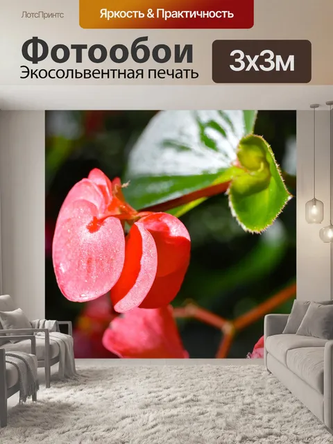 Фотообои Цветы