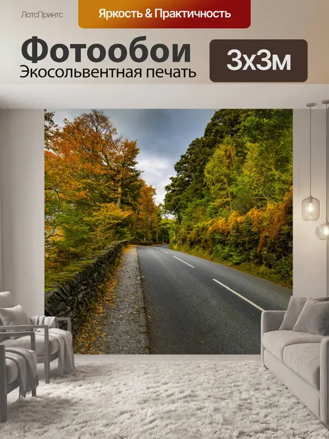 Фотообои Осенний лес Чистый Дорога