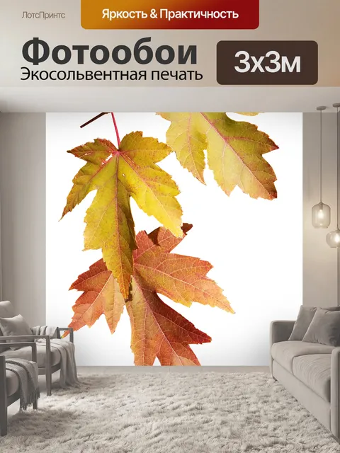 Фотообои Листья
