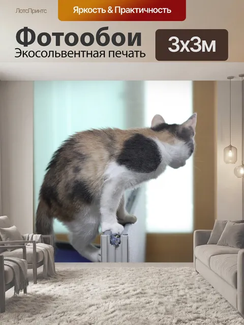 Фотообои Кошка