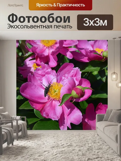 Фотообои Природа